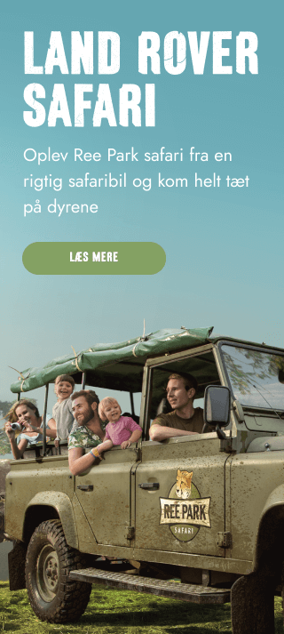 Ree_park_mobil_5